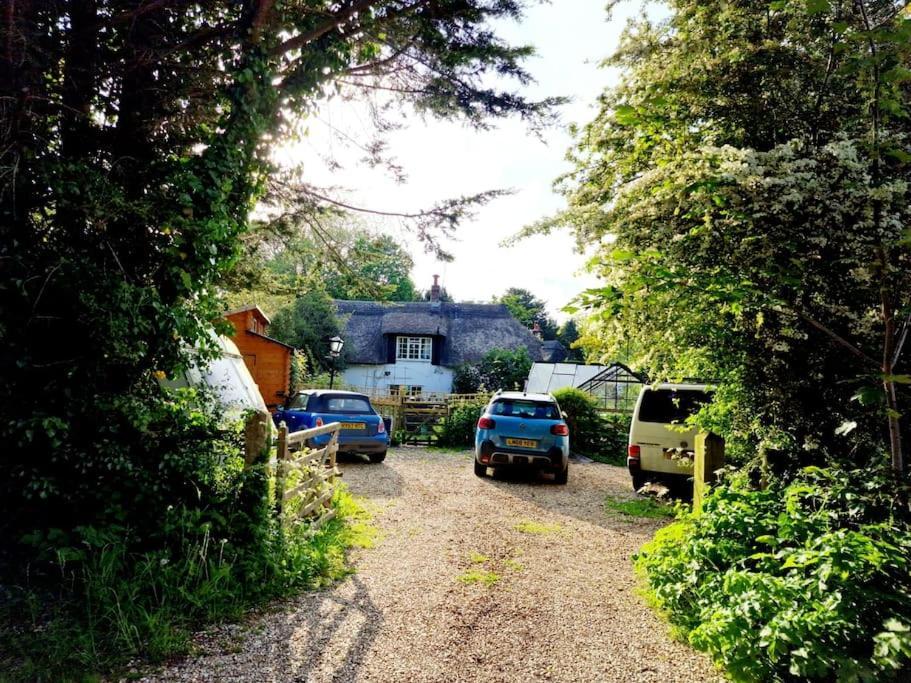 Piddle Puddle Cabin Dorchester Eksteriør billede